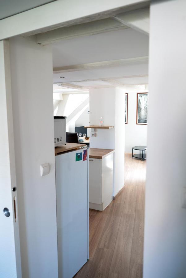 Secret Mama With Aircon 150 Meters From Parking Rapp Apartment Colmar Bagian luar foto